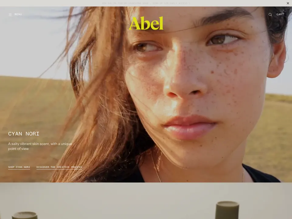 Screenshot of Abel