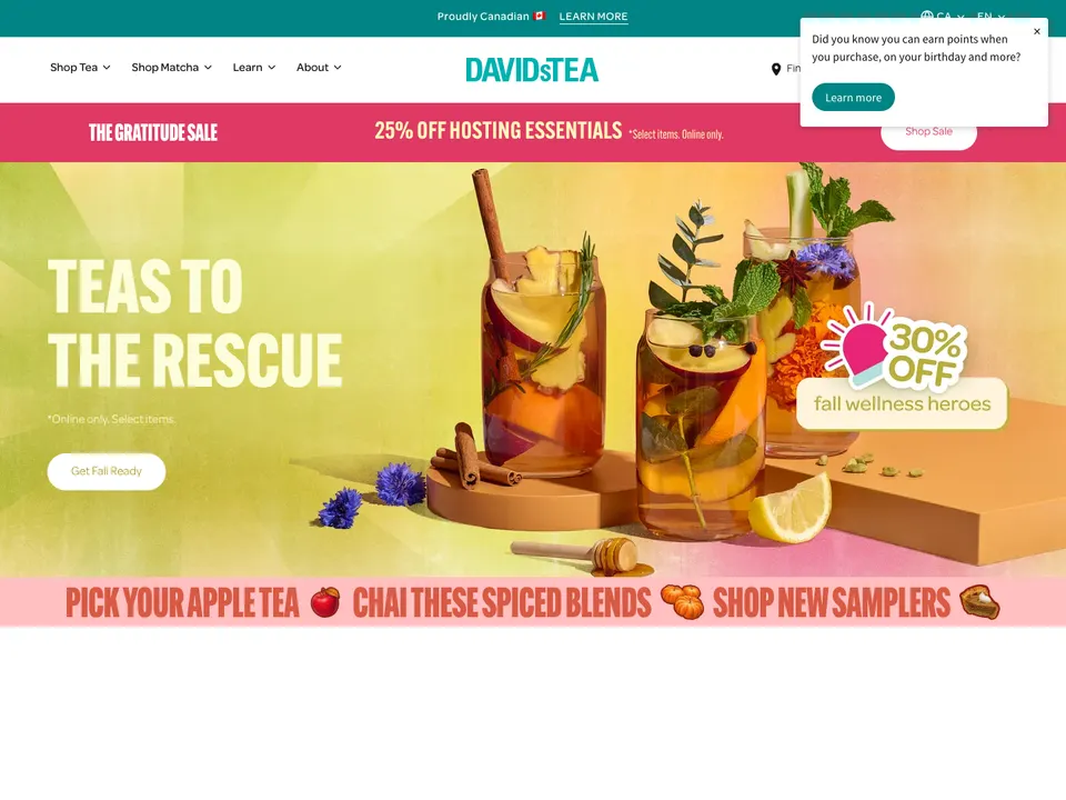 Screenshot of DAVIDsTEA